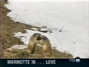Marmotte in...love - filmato di Baldovino Midali su RAI3