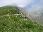 Alta Val Serrada - Monte Foppa dai Piani dell'Avaro (5 luglio 08) - FOTOGALLERY