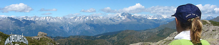 Panoramica dal Rig. Benigni verso le Api Retiche (da sx il Badile, il Disgrazia, il Bernina  a dx) 