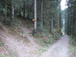 Prendere il sentiero a sinistra per Alpe Terzera