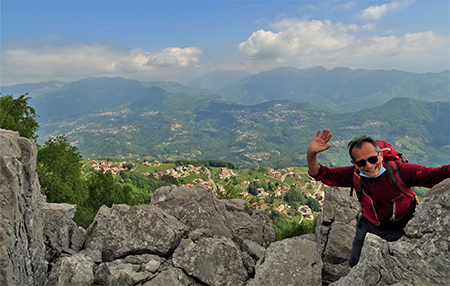 Spettacolo di narcisi sul Linzone (1392 m) salito dalla Roncola il 5 maggio 2020 - FOTOGALLERY
