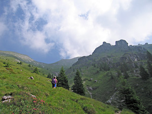 L'alta Val Carnera con verdi pascoli cosparsi degli ultimi pini in quota