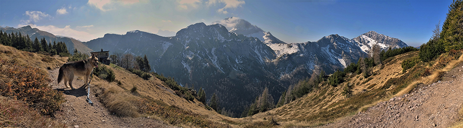 Dalla Baita del Tino (1870 m) in Monte Campo vista in Corno Branchino-Corna Pina-Arera e Menna