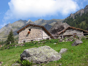 Azienda agrituristica in Alpe 'Ferdy'