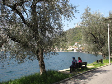 07-Relax-all'ombra-degli-ulivi.jpg