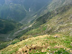Il lungo sentiero per l'alto  Rifugio Baroni al Brunone - foto Diego Zanchi