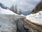 Strada d'accesso liberata dalla neve con le ruspe - 4 maggio 08