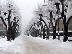 La grande nevicata del Gennaio 2006 a Zogno