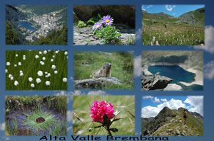 Buone Ferie d'agosto in Alta Valle Brembana!