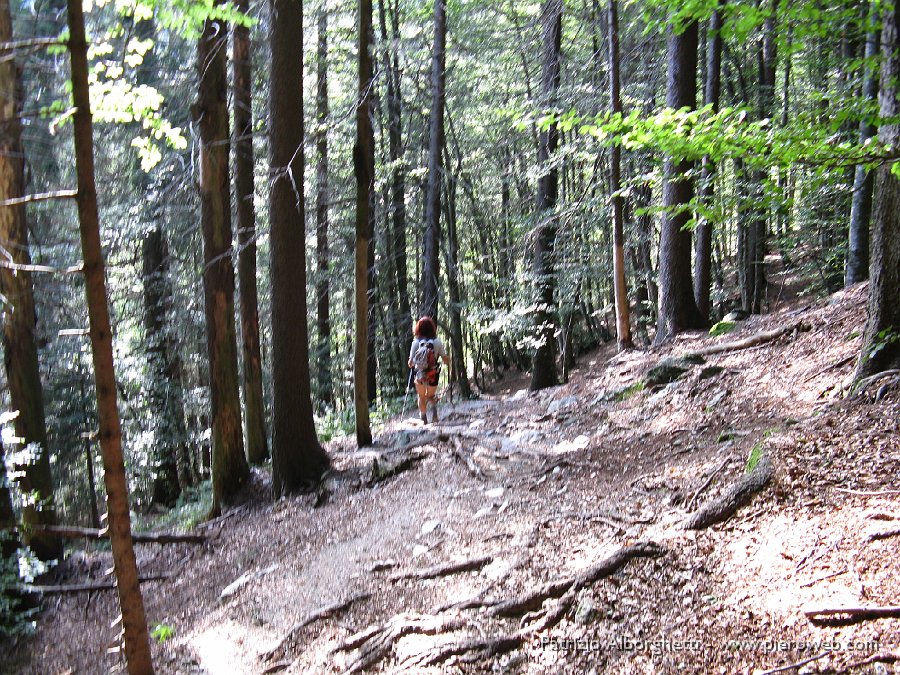IMG_0301.JPG - Adriana sul sentiero del ritorno nel bosco sopra Val Goglio