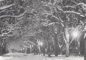 Il Viale in notturna, ammantato di neve (Foto Liborio Patti)