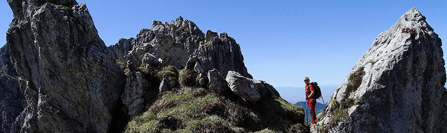 Roccioni e torrioni in cresta di Cima Alben
