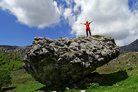 Anello del Monte Alben con Cima Croce, Cima Alben, Casere, Sappli da Passo Crocetta il 24 maggio 2016  - FOTOGALLERY