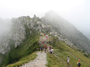 Passo la Forca...crocevia dei sentieri per le cime d'Alben