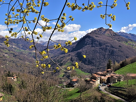 Festa di fiori da Alino al Molinasco- 25mar23 - FOTOGALLERY