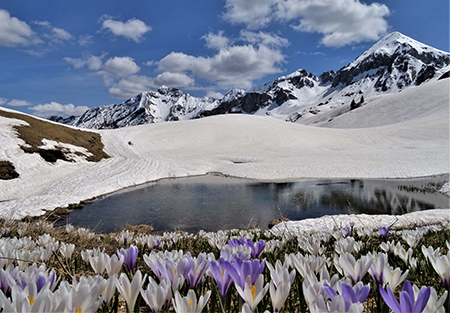 PASSO SAN SIMONE e FORCELLA ROSSA da San Simone-Baita Camoscio- 8magg21- FOTOGALLERY