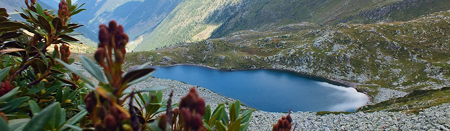 Vista sul Lago di Porcile alto , salendo al Valegino