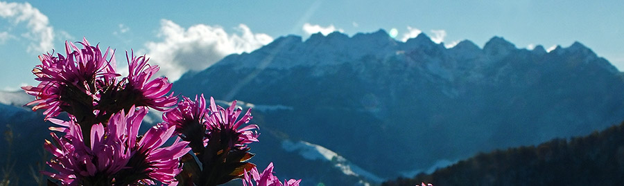 Settembrini con la neve di fine ottobre