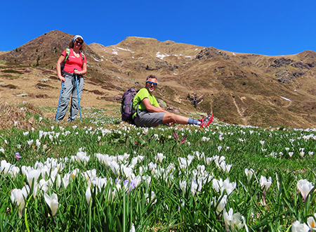Ai Piani dell’Avaro ben fioriti di crocus – 2 maggio 2025 - FOTOGALLERY
