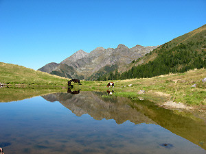 Nel laghetto si specchiano cielo, montagne, amimali