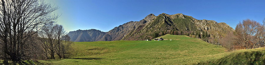 Pianoro pascolivo di Baita Campo (1442 m) 