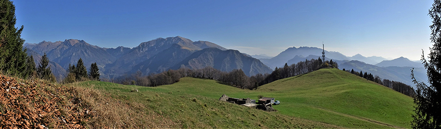Pianoro pascolivo di Baita Campo (1442 m) 