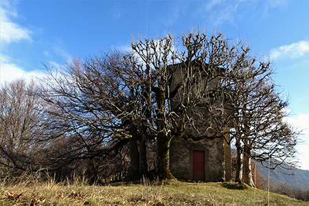 CASTEL REGINA (1424 m) e PIZZO CERRO ( 1285 m) ad anello da Catremerio il 14 dicembre 2017 - FOTOGALLERY