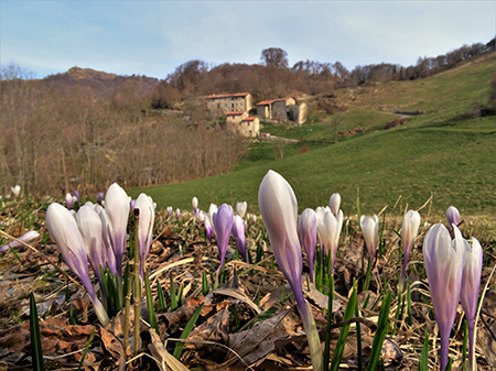 Castel Regina e Pizzo Cerro da Catremerio-13apr22- FOTOGALLERY