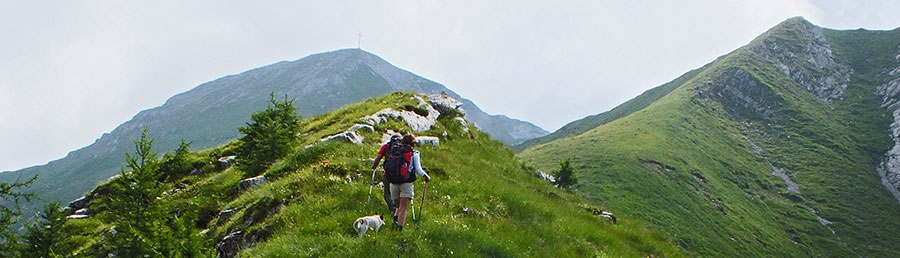 Davanti a noi la cresta discendente al Pizzo Cavallo a dx e il Monte Cavallo a sx