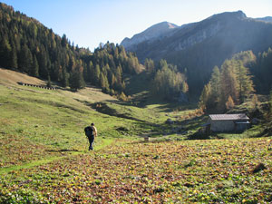 Radura pascoliva della Casera di Terzera...in alto il Cavallo
