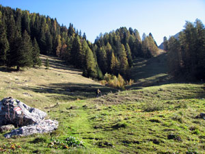 Si succedono verdi radure pascolive