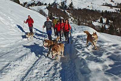 Invernale sul Monte Sodadura (2010 m) il 12 gennaio 2014 - FOTOGALLERY
