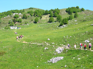 Escursionisti...d'estate