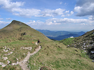 Bella pozza d'acqua sui pascoli 