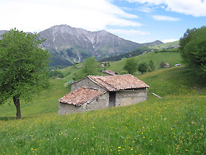 Cascine di Zambla Alta alle pendici del Grem