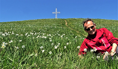 Spettacolo di narcisi sul Linzone (1392 m) salito dalla Roncola il 5 maggio 2020 - FOTOGALLERY