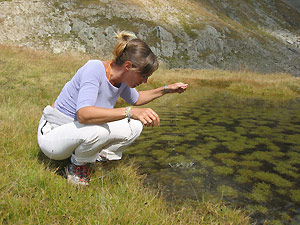 Stagno di limpide acque e verdeggianti piante acquatiche - foto Piero Gritti