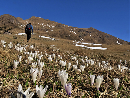 Il Mincucco 'ce la da buca', Baita Foppa Alta ok -20mar23 - FOTOGALLERY