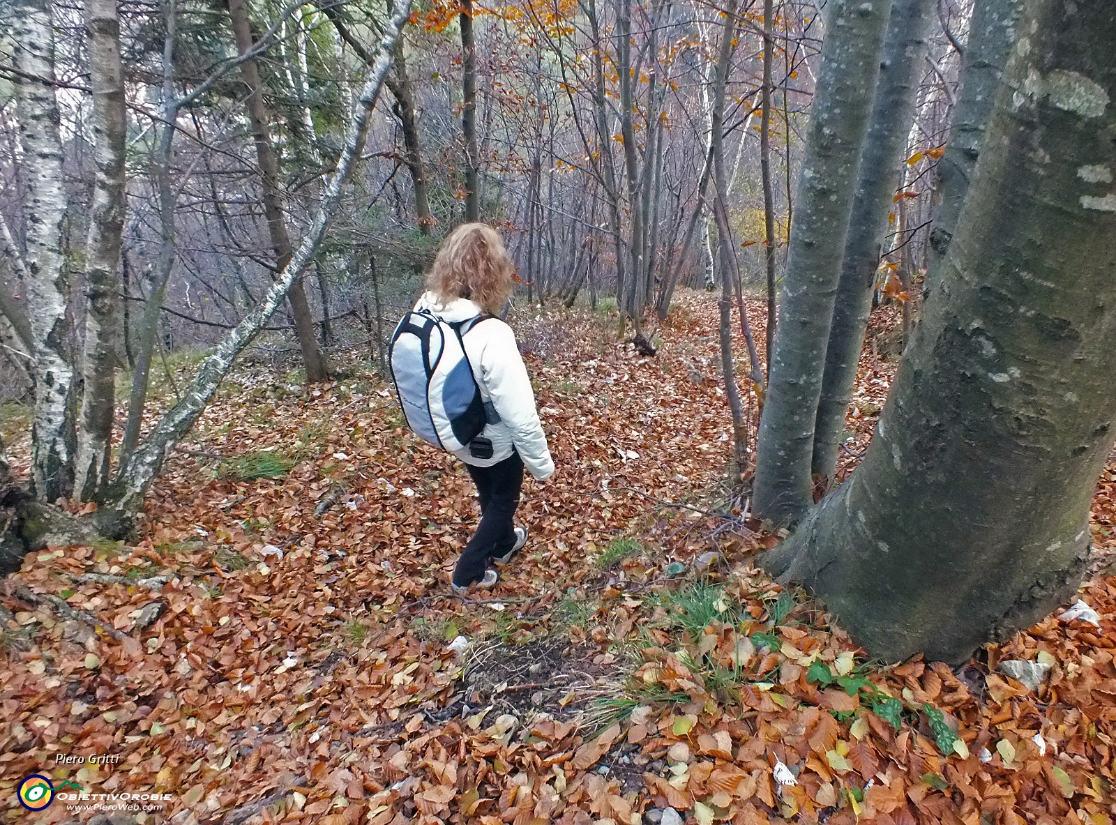 DSCF2734.JPG