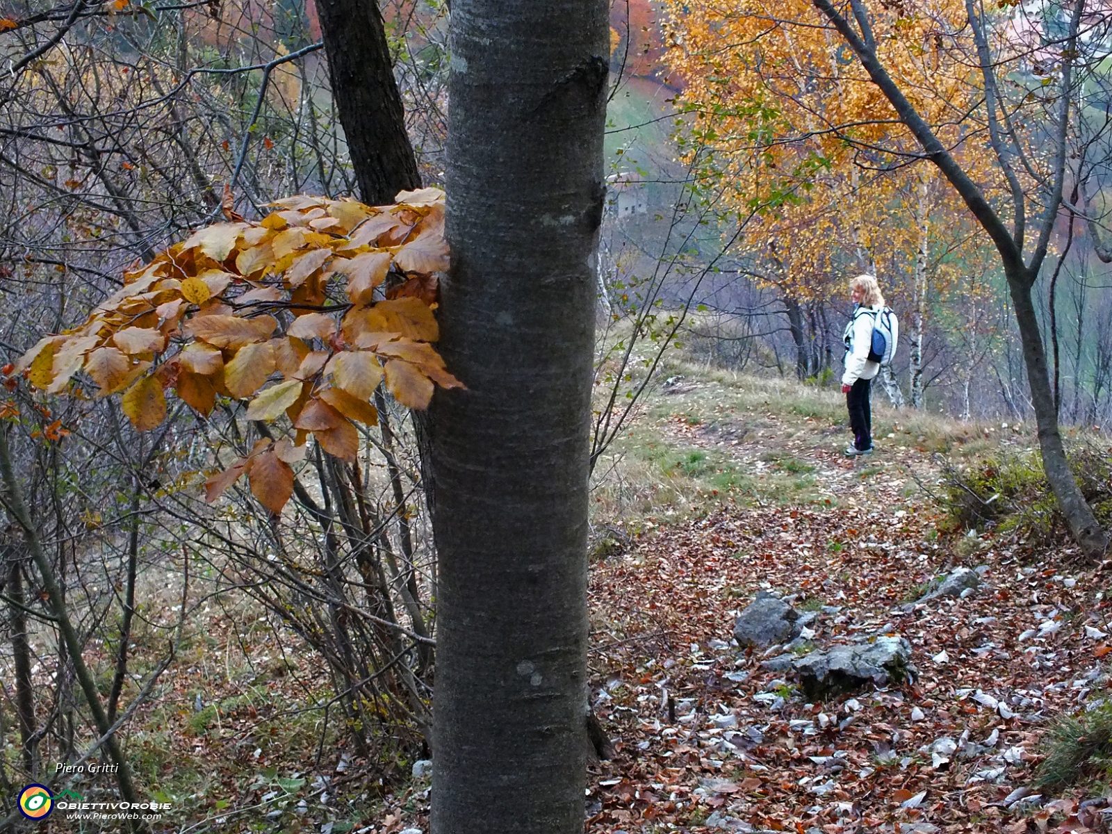 DSCF2740.JPG
