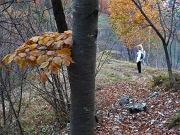 DSCF2740