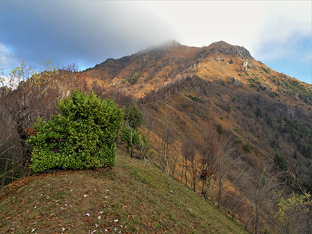 MONTE GIOCO colorato d’autunno da Spettino-24nov21 - FOTOGALLERY