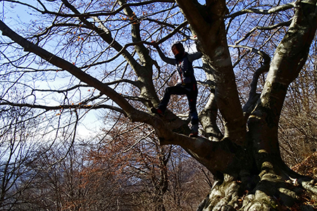 Alla croce del Monte Ocone (1363 m) dalla Forcella Alta il 20 febbraio 2016 - FOTOGALLERY