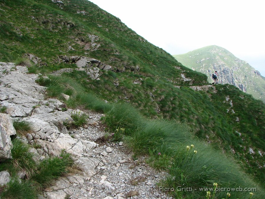 IMG_1177.JPG - In alcuni tratti il sentiero è lievemente esposto, ma non c'è alcun pericolo