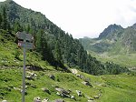 IMG_1076
