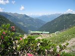 IMG_1117