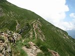 IMG_1155