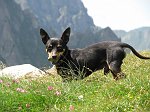 IMG_1160