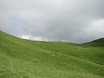 IMG_1189