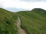 IMG_1193